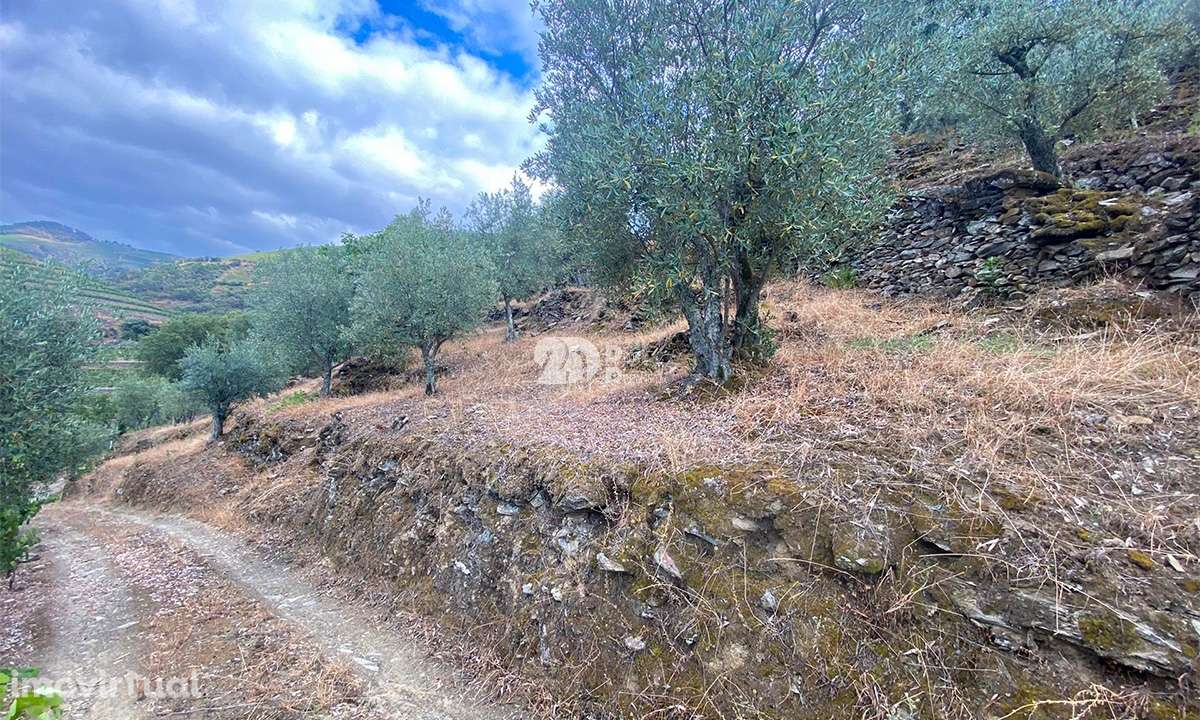 Terreno 12.600m² - Santo Aleixo - Grande imagem: 2/15