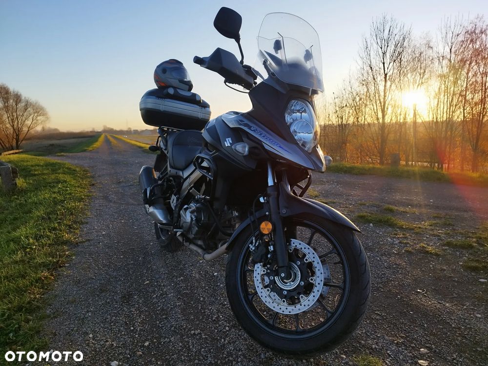 Suzuki DL