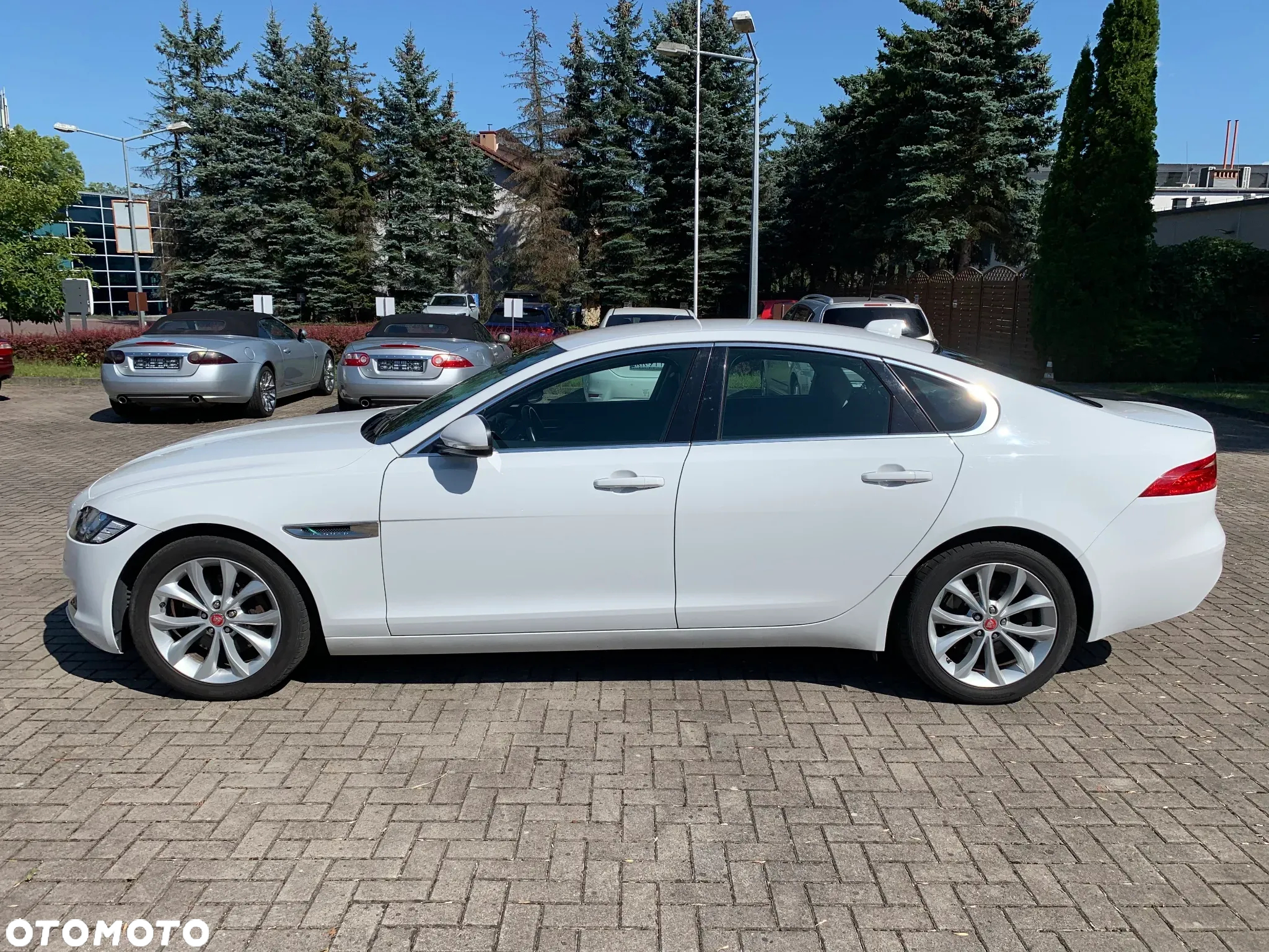 Jaguar XF 2.0 i4D Prestige - 4