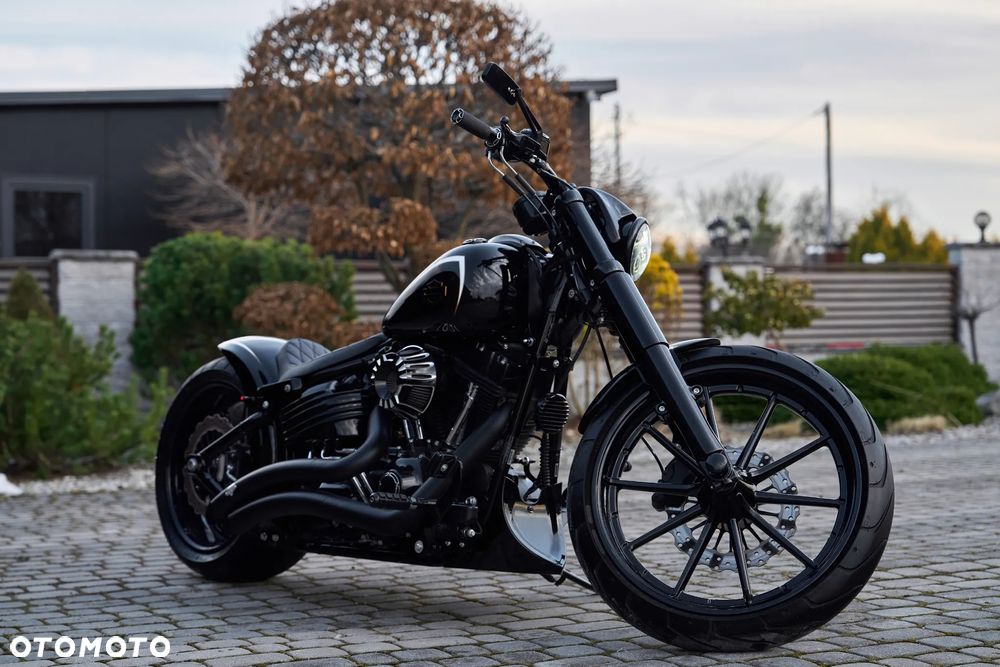 Harley-Davidson Inny - 21
