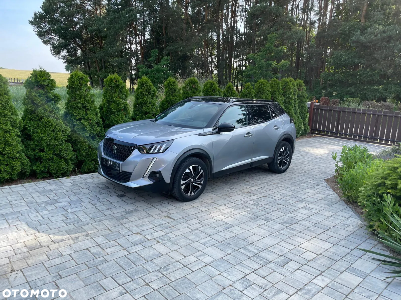 Peugeot 2008 1.5 BlueHDi GT S&S EAT8 - 4