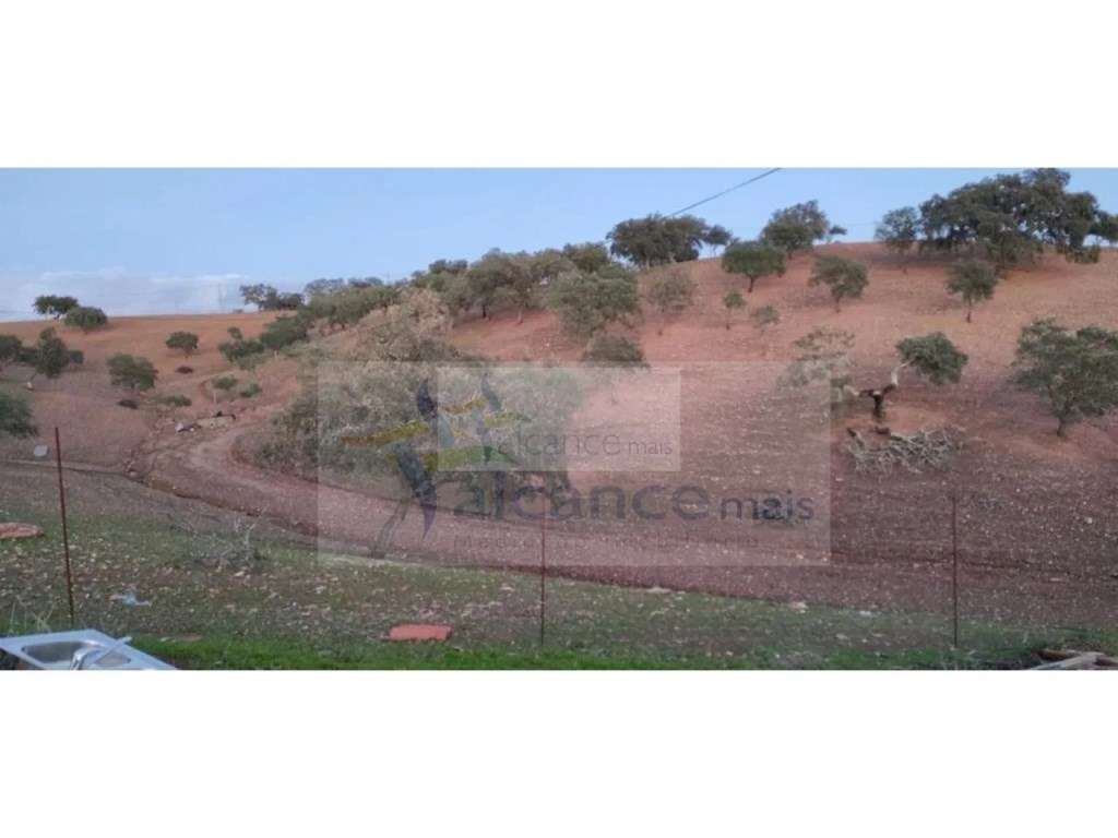 Propriedade rural com área total de 9 hectares - zona de Vila Nova ... - Grande imagem: 4/6