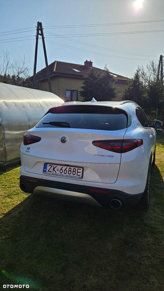 Alfa Romeo Stelvio 2.0 Turbo Q4 - 3