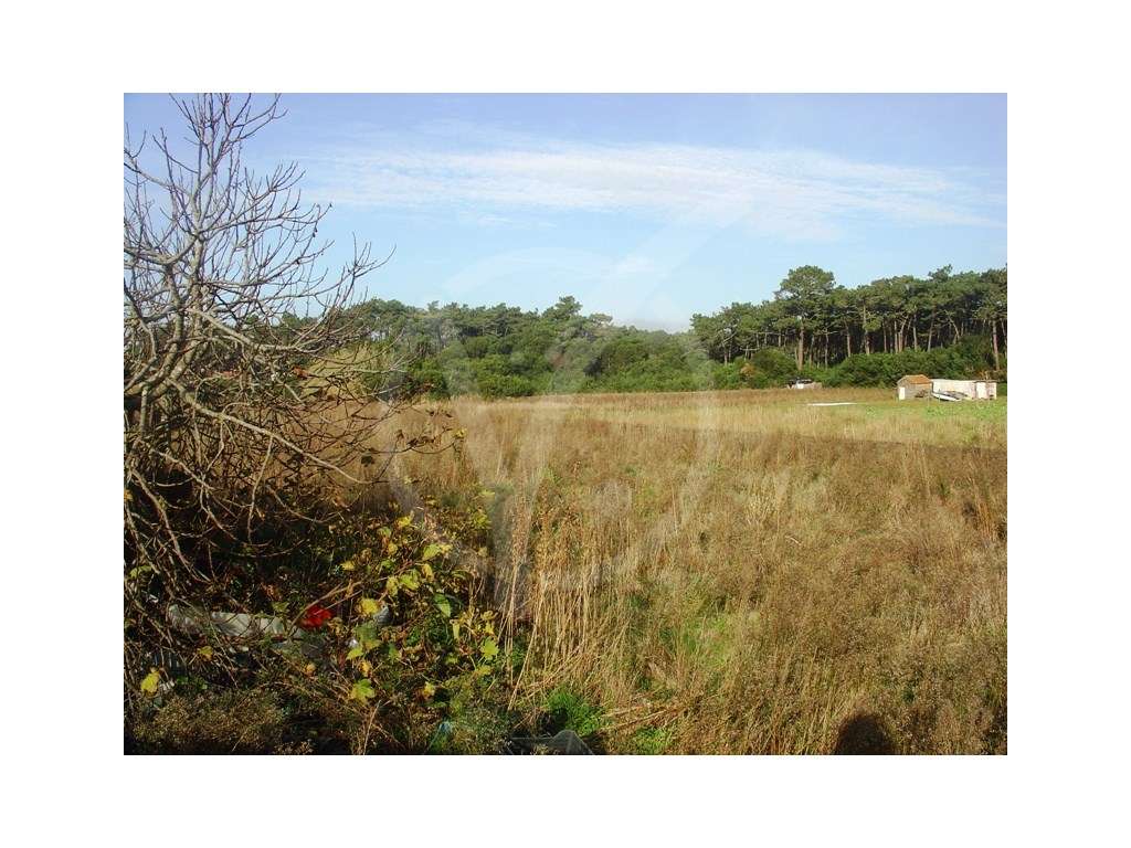 Terreno para construção junto ao mar - Grande imagem: 5/7