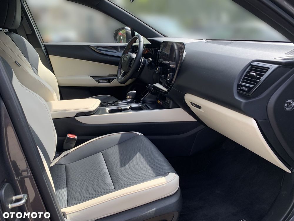 Lexus NX - 13