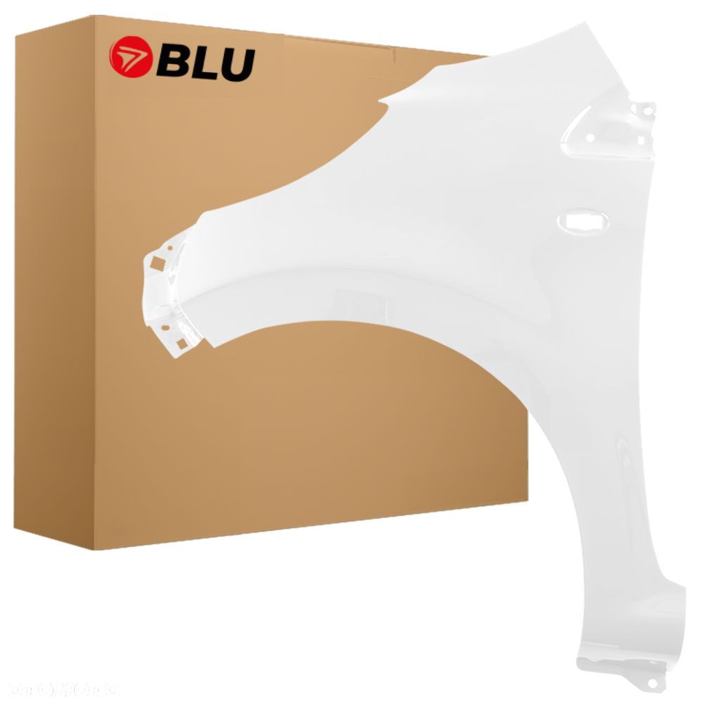 BLU Błotnik PEUGEOT 107 KWD lewy biały 2005-2014 przód ocynk Lipizan - 1
