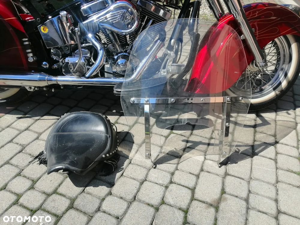 Indian Chief - 8