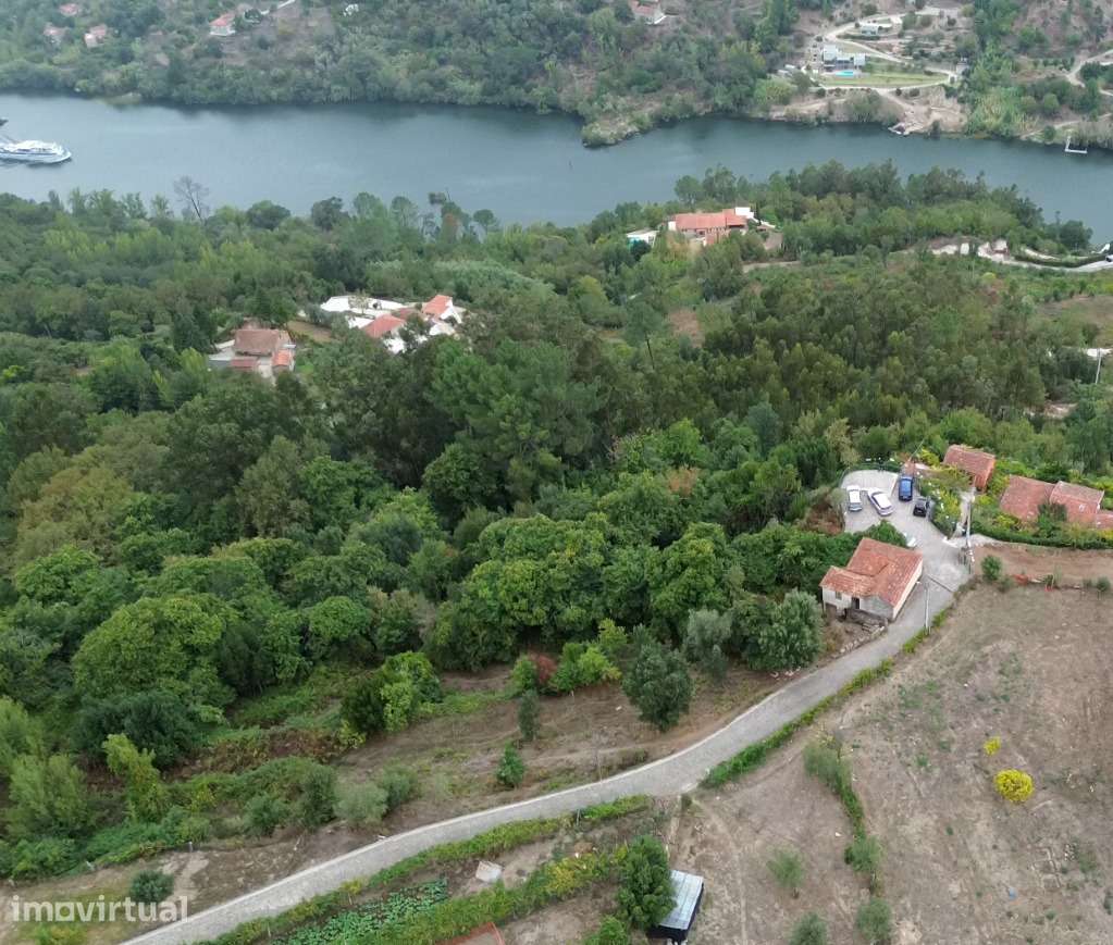 Quinta no Douro c/ 3 Ruínas (301m² ABC) e Vista para o Rio Douro. - Grande imagem: 4/14