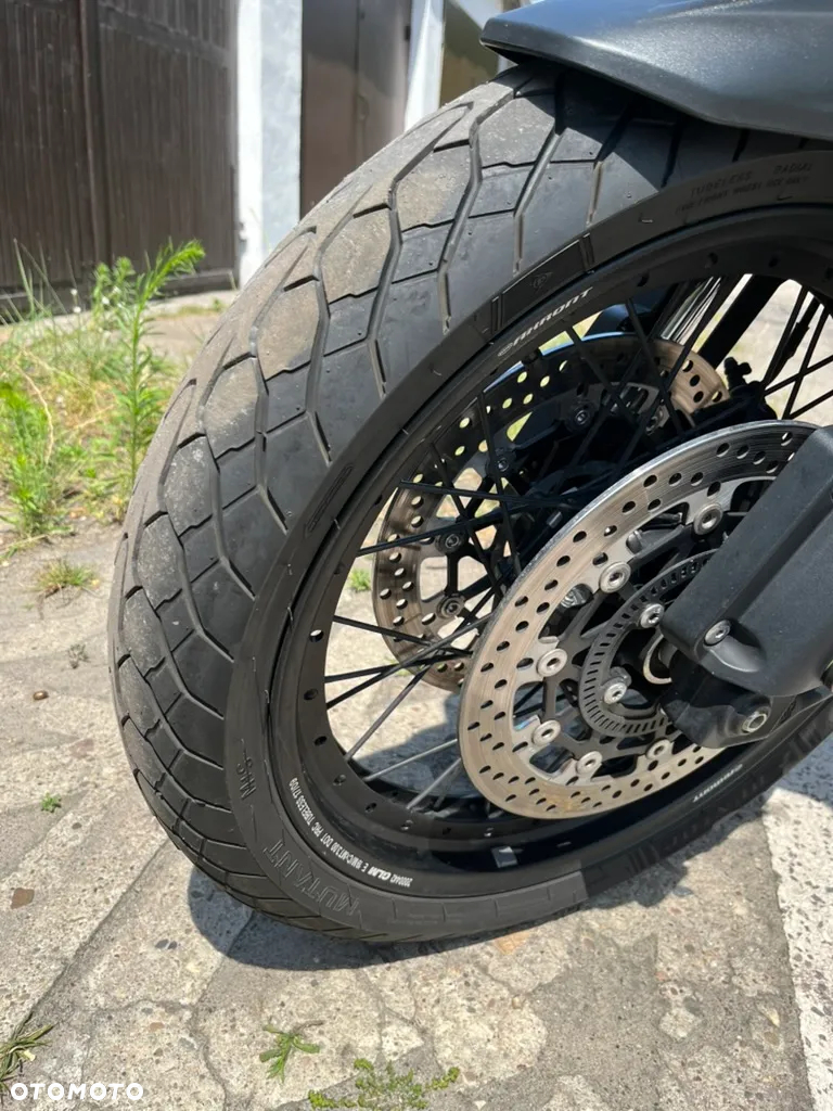 Triumph Tiger - 6