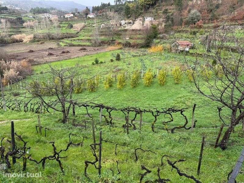 Quinta  6500 m2. - Grande imagem: 5/8