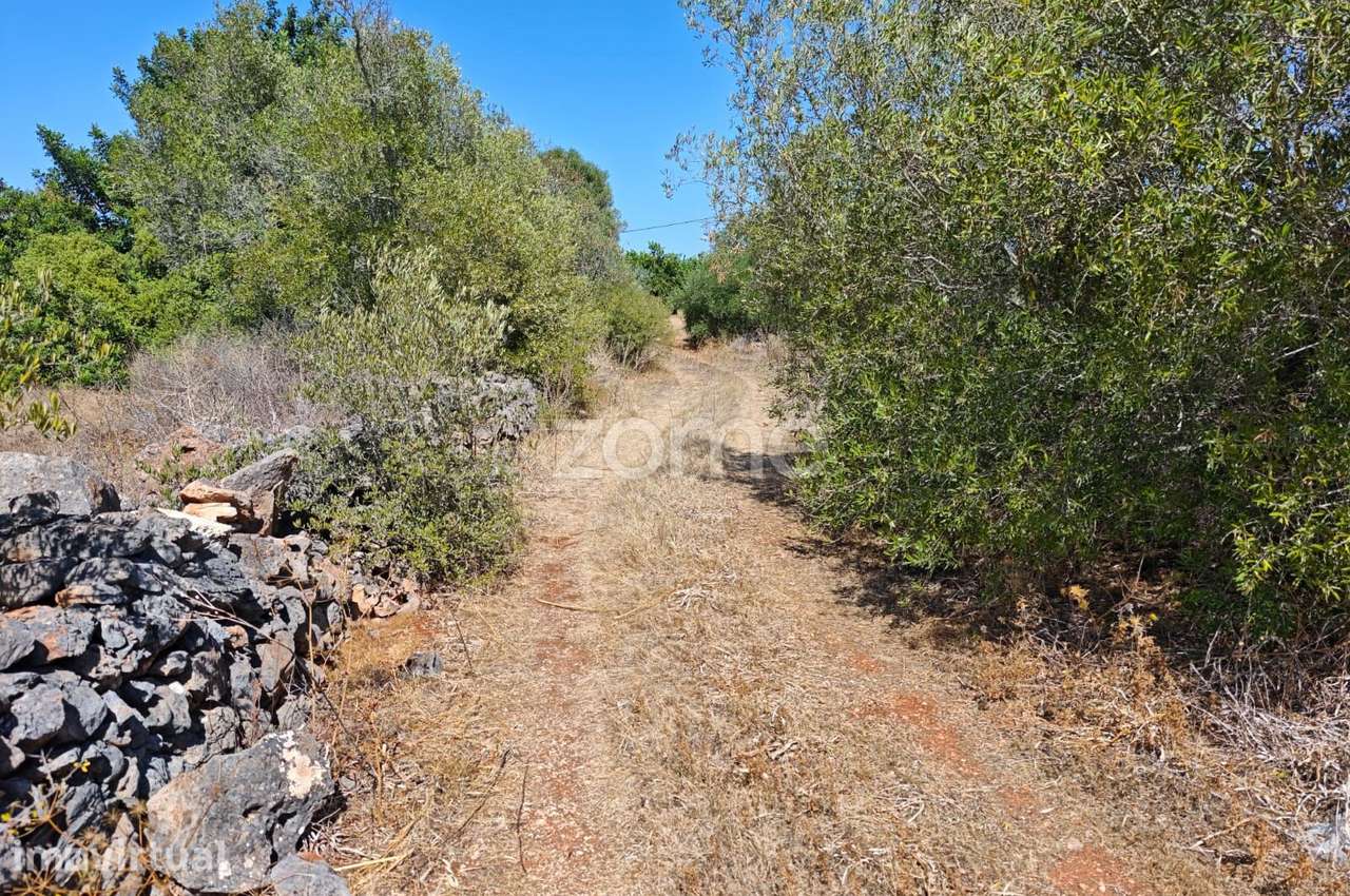 Terreno Rústico com 2.800m2 em Mouchão, Alcantarilha - Grande imagem: 4/15