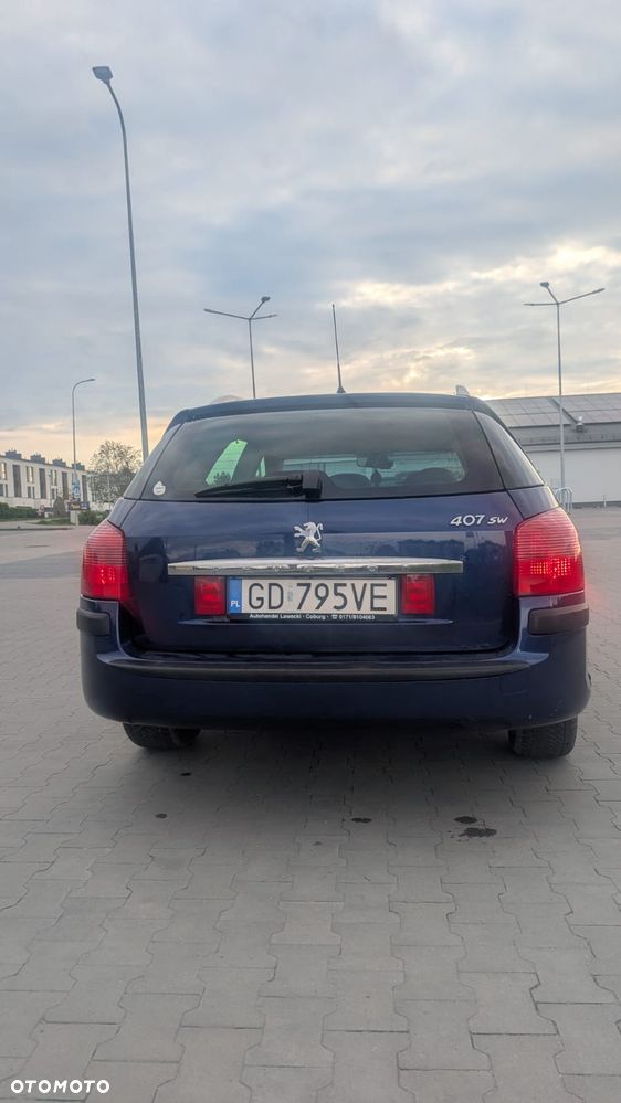 Peugeot 407 - 19