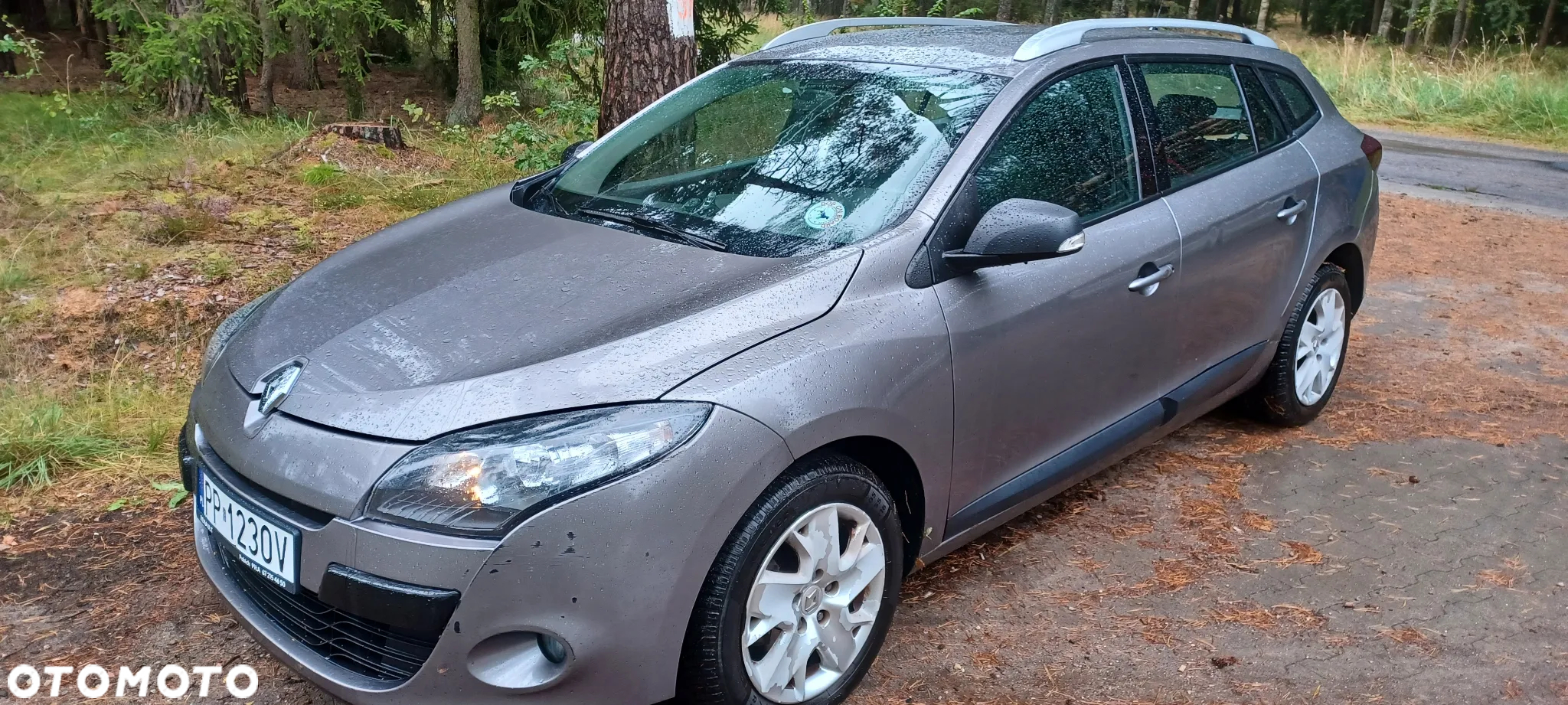 Renault Megane 1.6 16V 110 Dynamique - 30