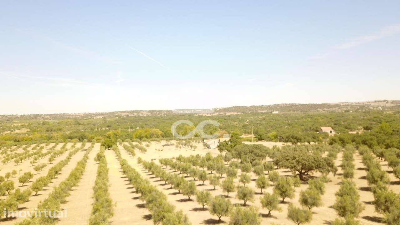 Quinta em ruínas na Vila de Frades - Grande imagem: 2/36