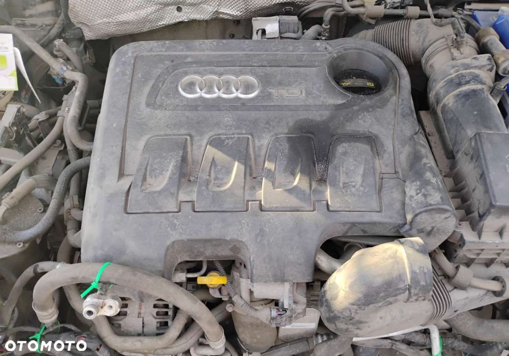 Audi Q3 - 19
