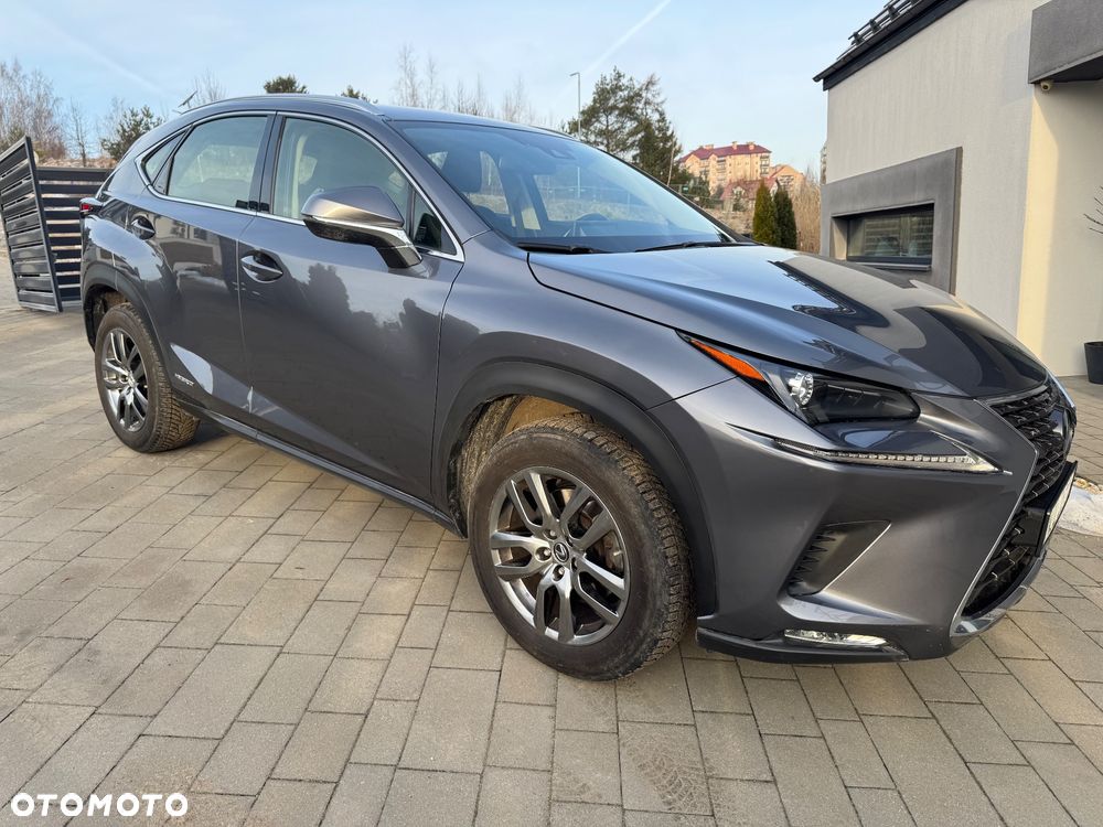 Lexus NX 300 Elegance Optimum AWD - 2
