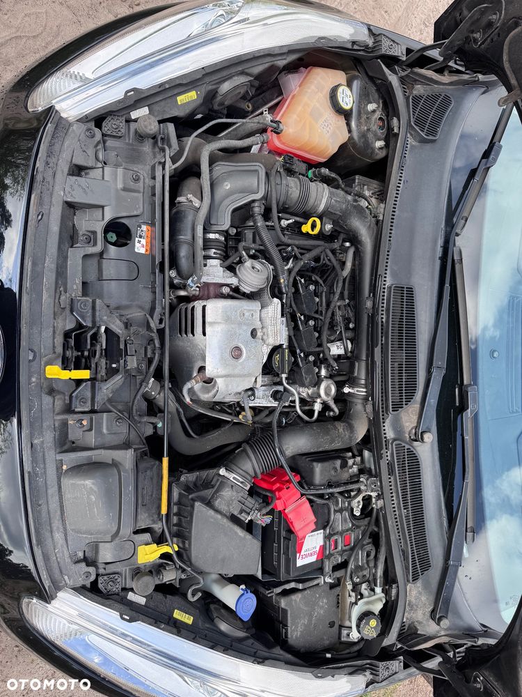 Ford Fiesta 1.0 EcoBoost Start-Stop Celebration - 25