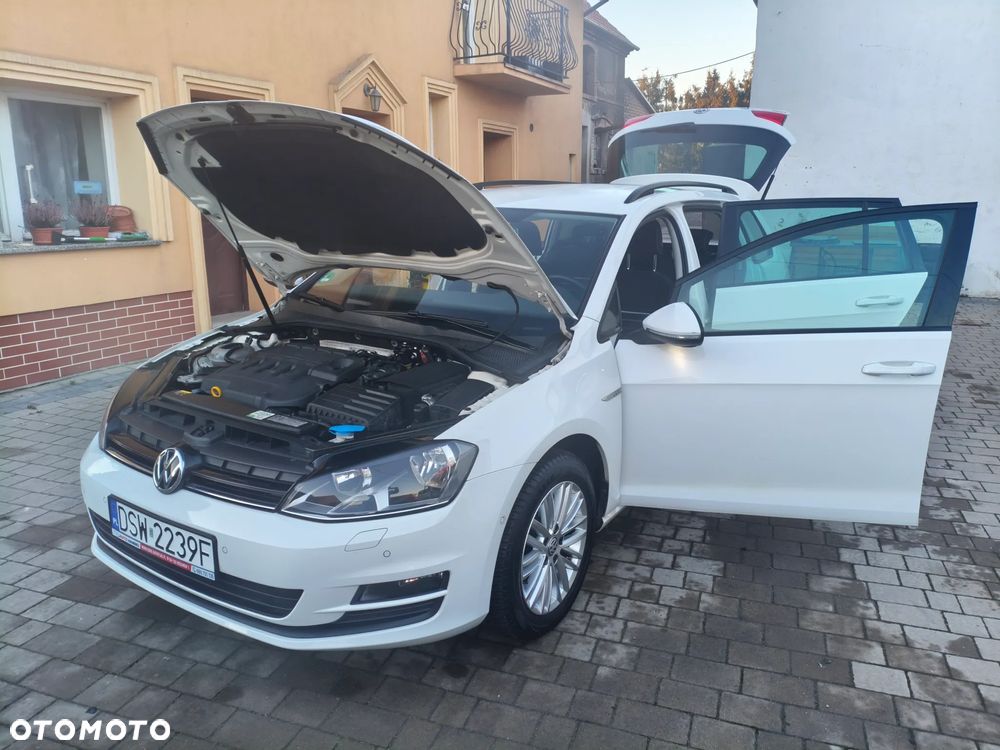 Volkswagen Golf 1.6 TDI BlueMotion Technology Cup - 36