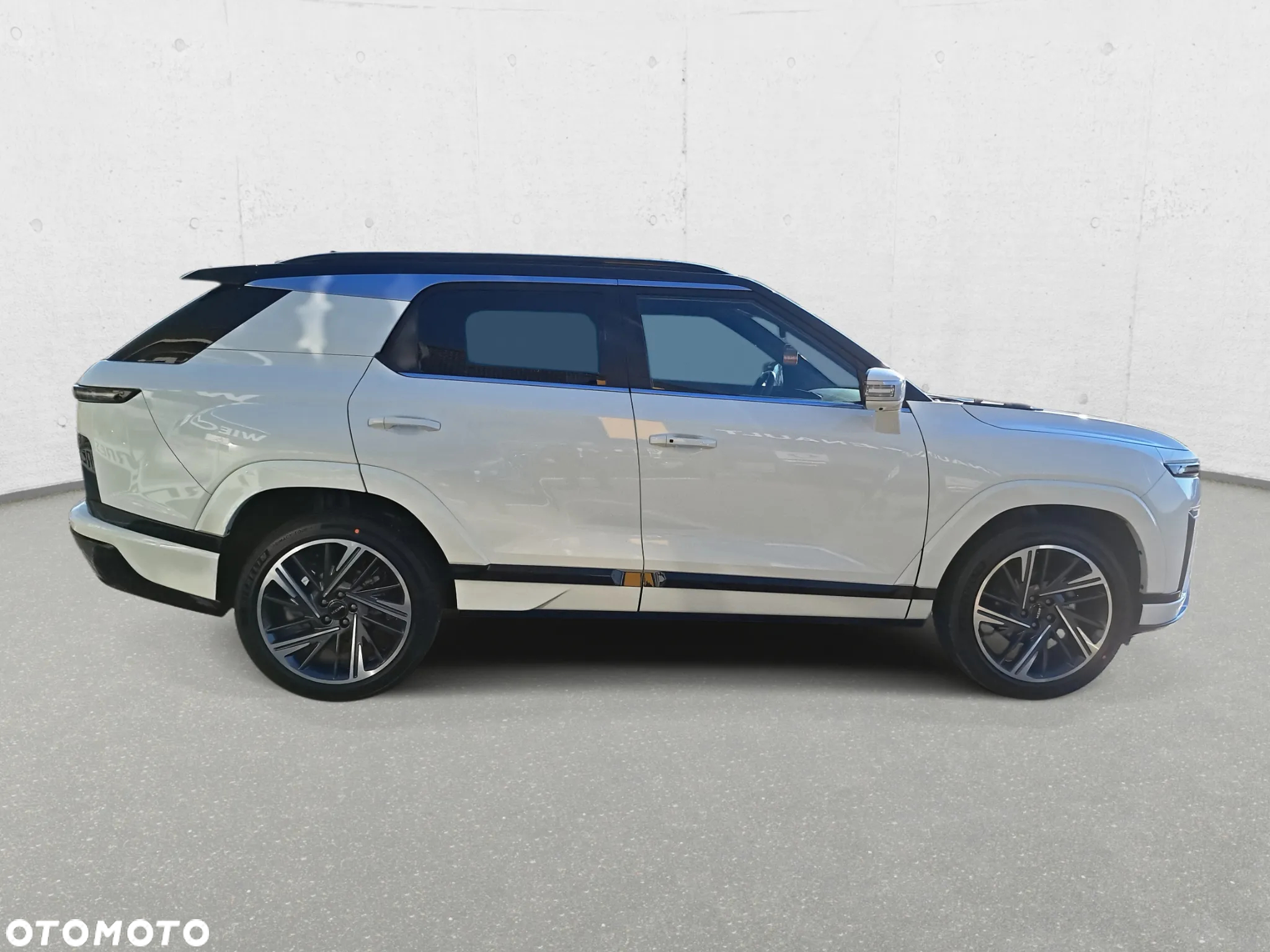 SsangYong/KGM Actyon - 4