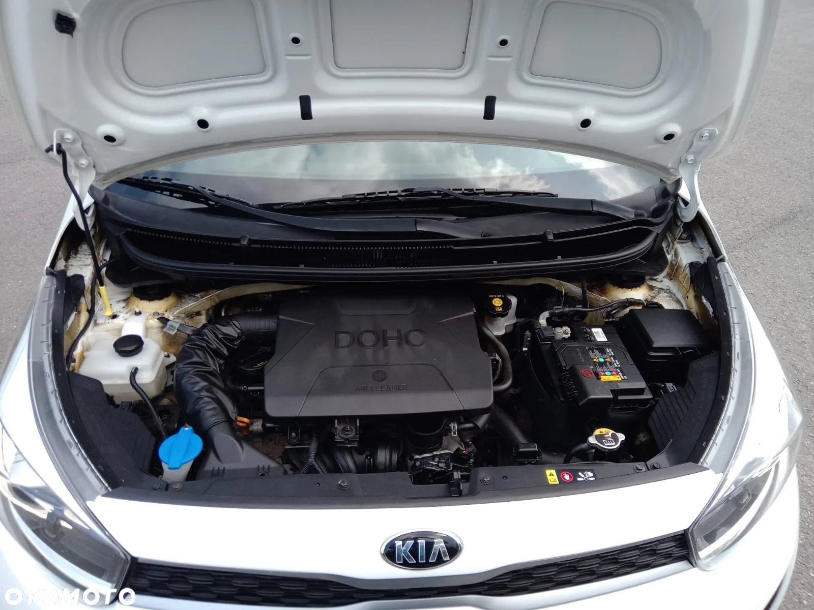 Kia Picanto 1.0 Edition 7 - 7