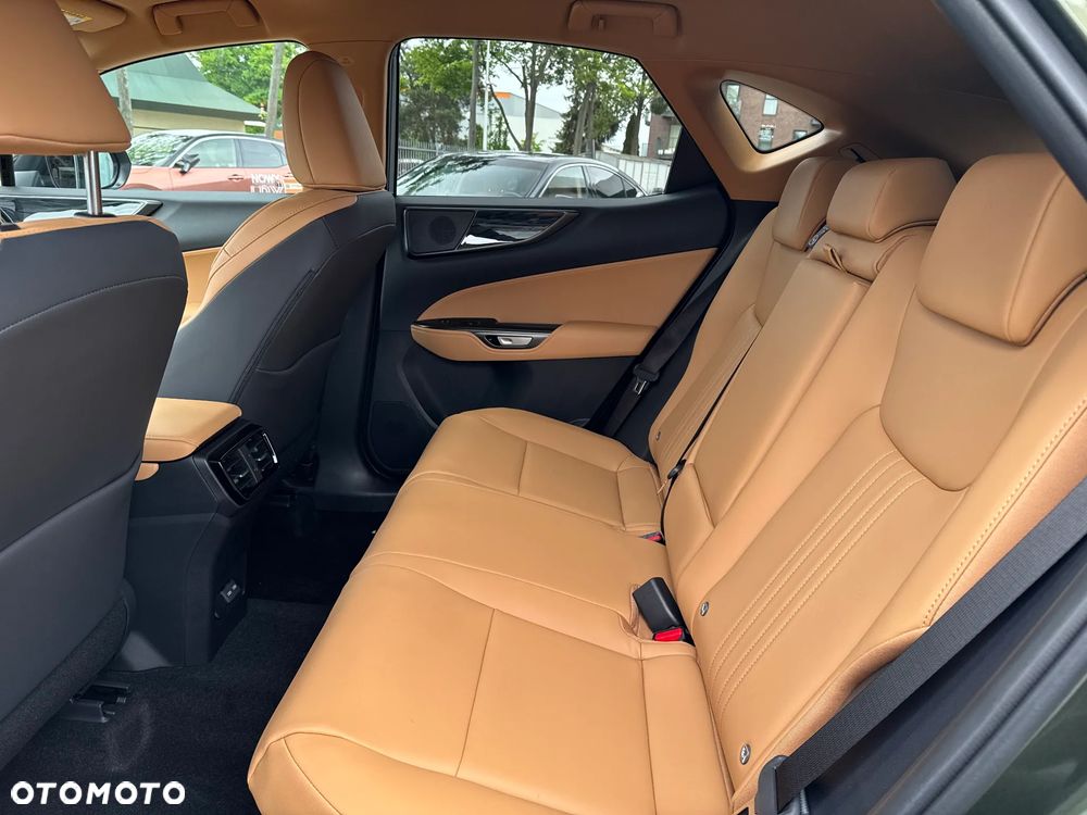 Lexus NX - 11