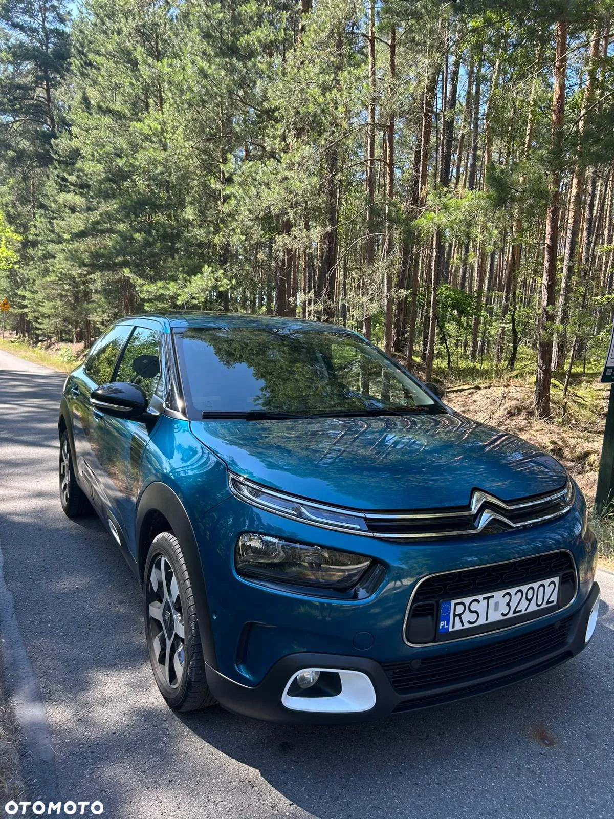 Citroën C4 Cactus 1.2 PureTech GPF Shine S&S - 8