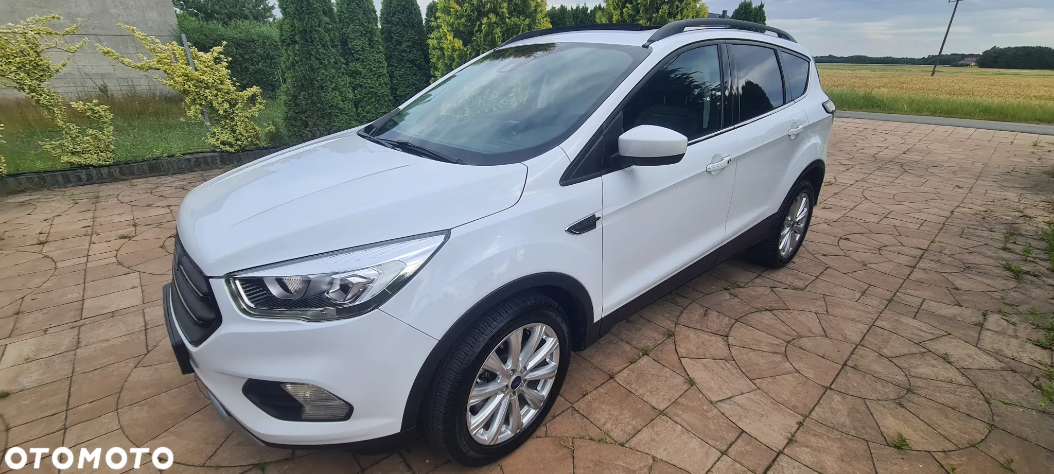 Ford Kuga 1.5 EcoBoost AWD Edition ASS - 2