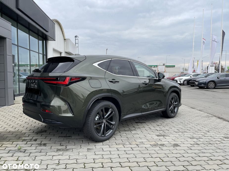 Lexus NX - 6