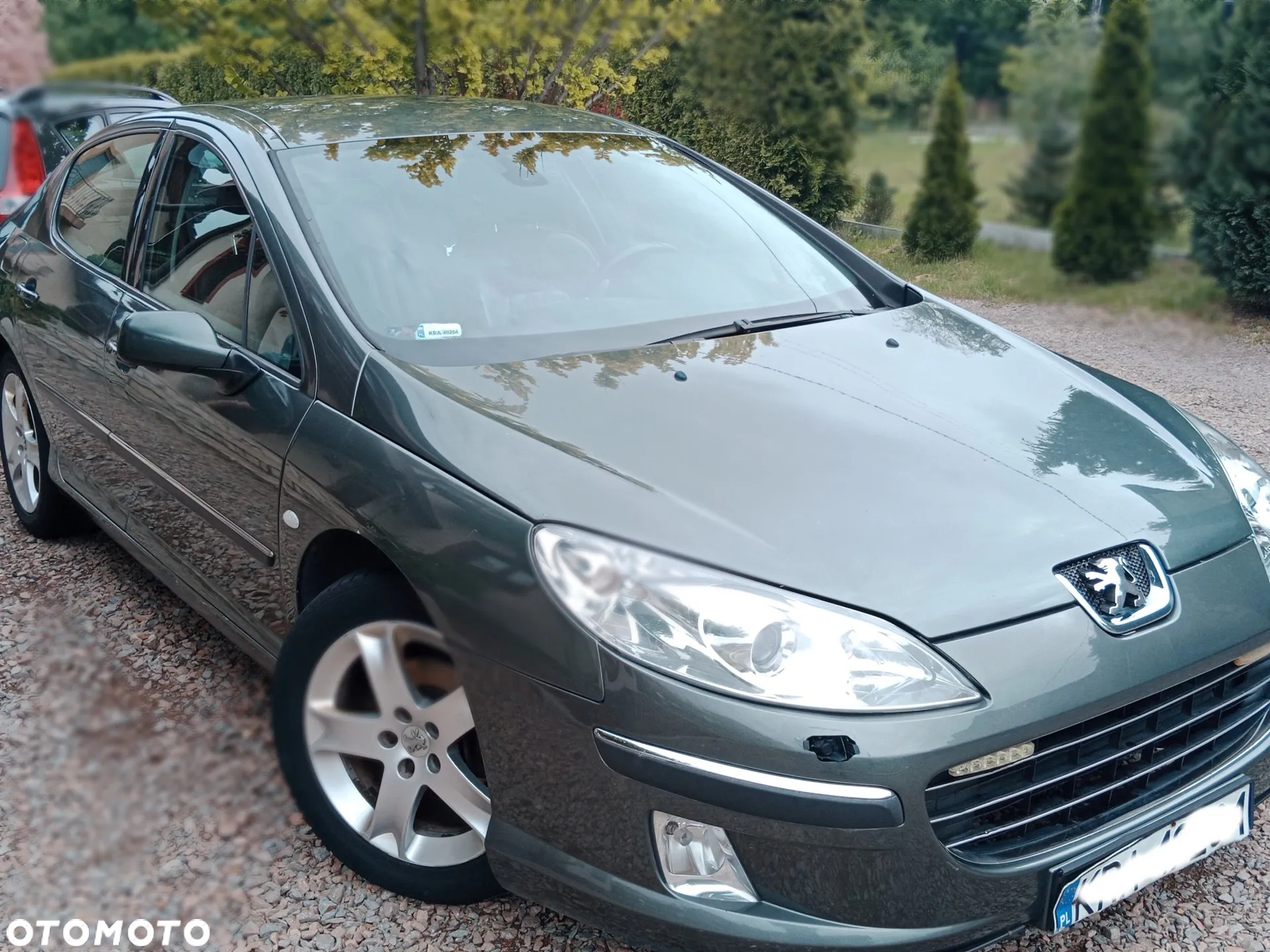 Peugeot 407 2.0 HDI Platinum - 2