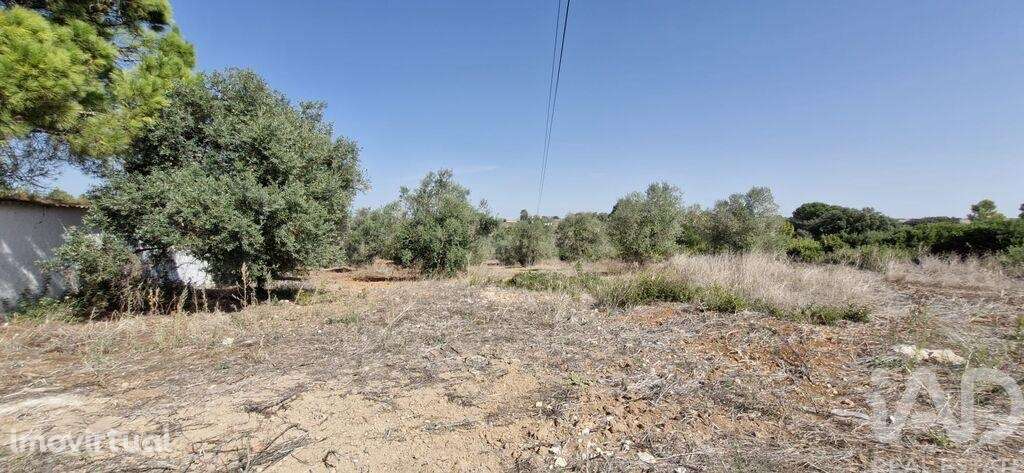 Terreno em Azambujeira e Malaqueijo de 12080,00 m2 - Grande imagem: 3/25