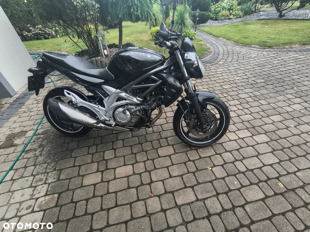 Suzuki Gladius - 10