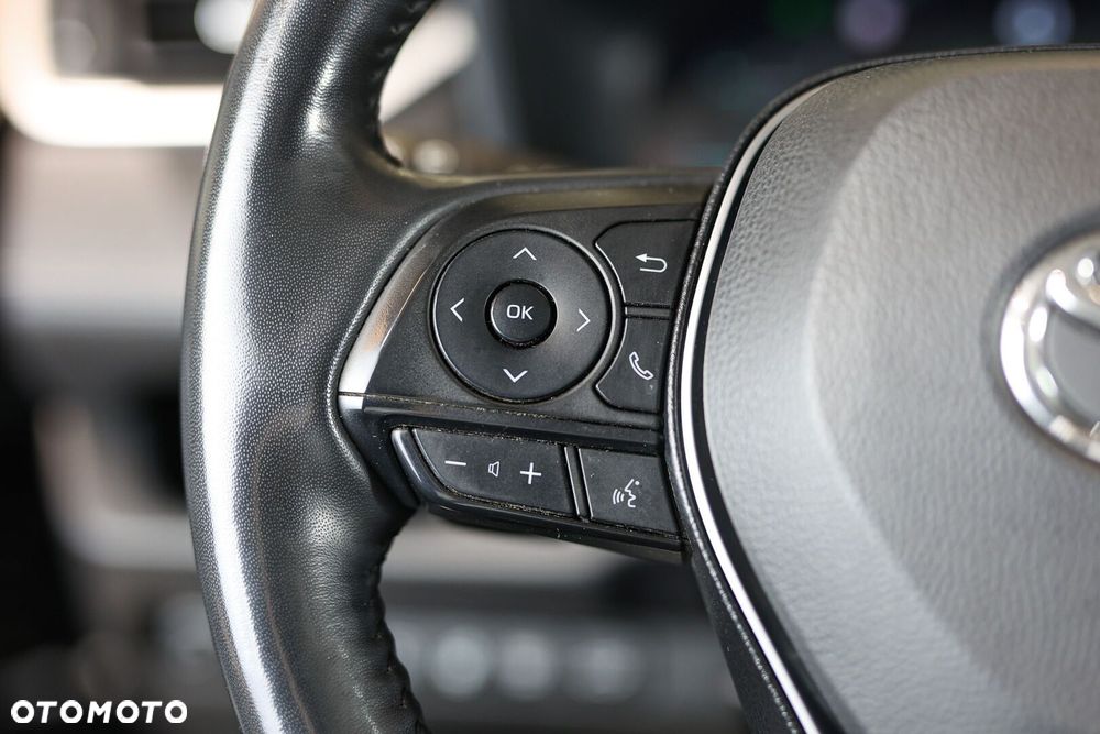 Toyota RAV4 - 32