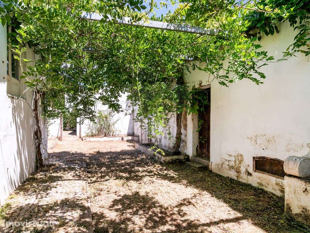 Moradia T4 situada em Elvas, Alentejo - Grande imagem: 3/13