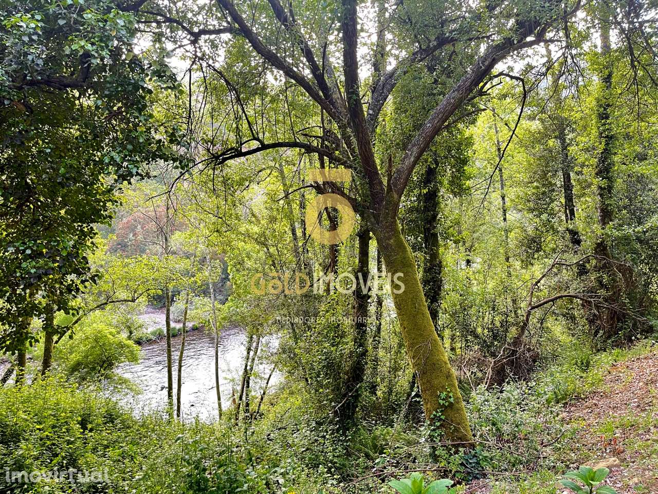 Terreno Rústico - Grande imagem: 3/19