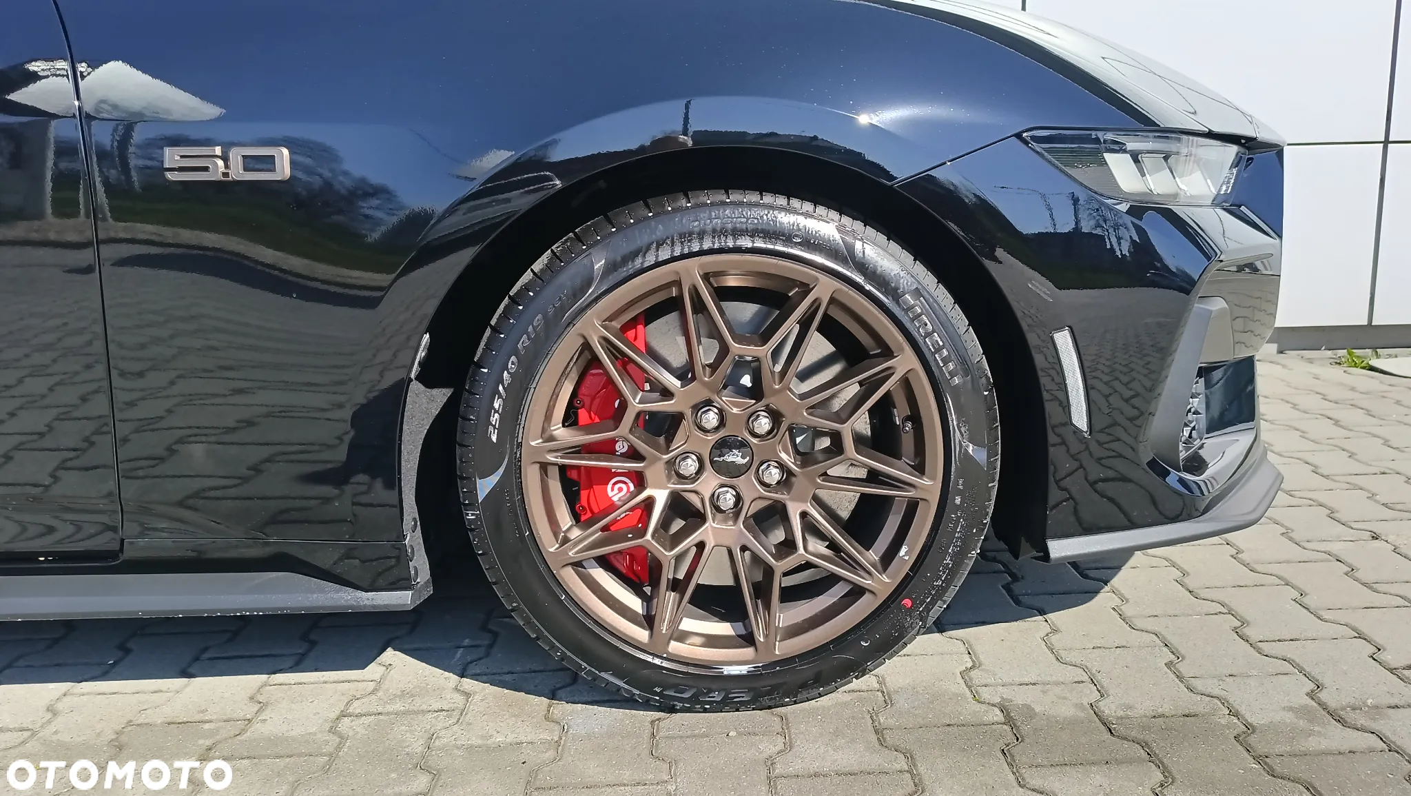 Ford Mustang 5.0 Ti-VCT V8 GT - 19