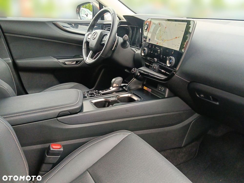 Lexus NX - 10