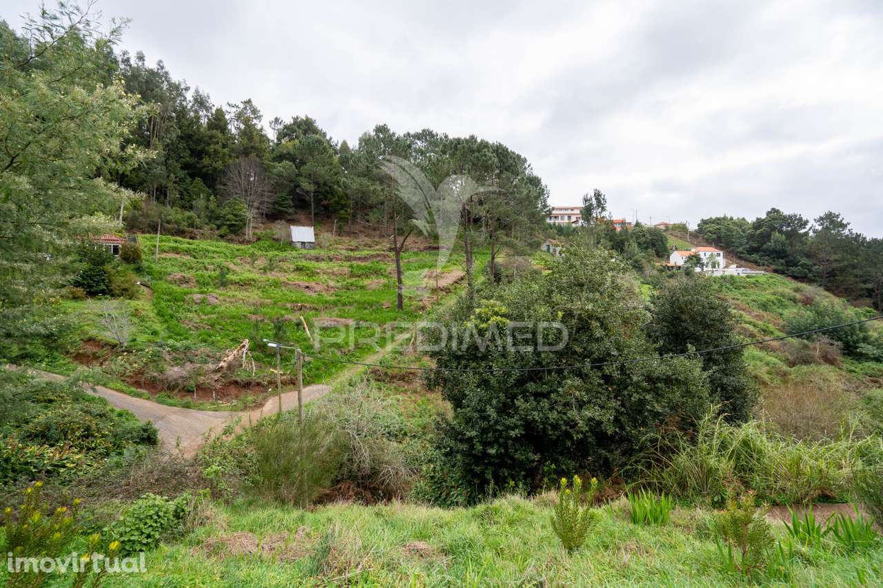 Terreno Na encantadora Freguesia do Santo da Serra Ilha da Madeira - Grande imagem: 5/14
