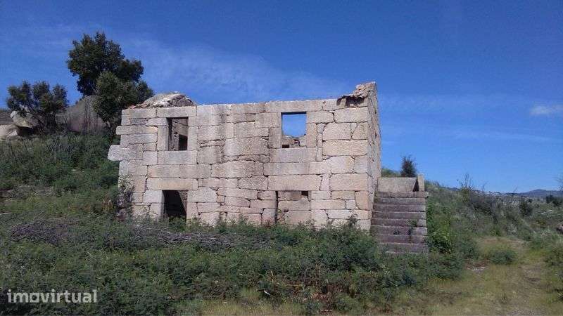 Arrenda-se Quinta Exclusiva 25ha | 1km margem de Rio Mondego - Grande imagem: 3/11