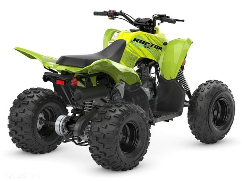 Yamaha Raptor - 2