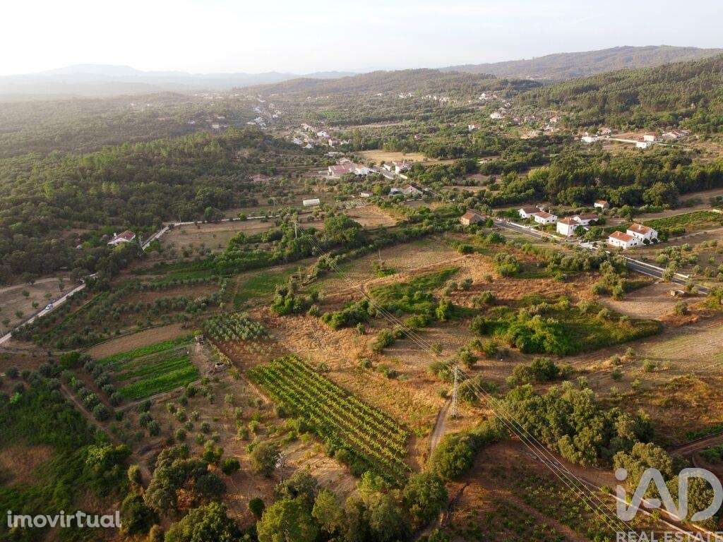 Terreno em Areias e Pias de 3000,00 m2 - Grande imagem: 4/30
