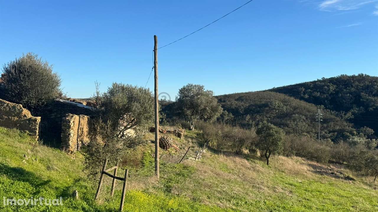 2 Moradias para recuperar em Terreno com 12000m2-Santana da Serra - Grande imagem: 2/22