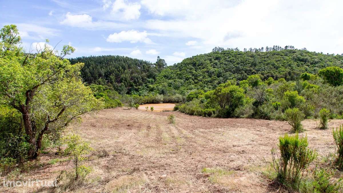 Terreno nas colinas de Carrascalinho com possibilidade de construção - Grande imagem: 4/4