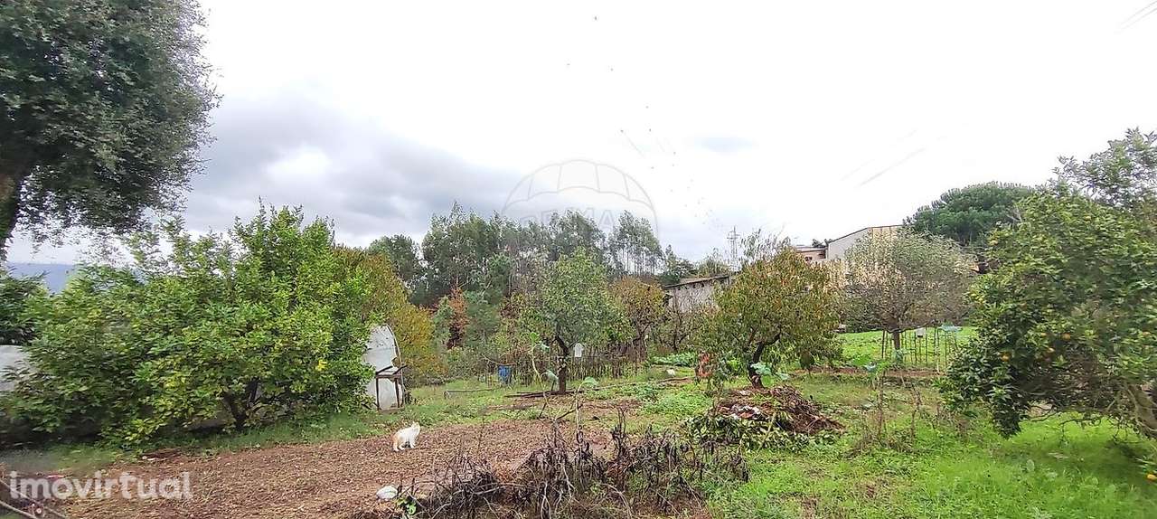 Terreno  para venda - Grande imagem: 3/15