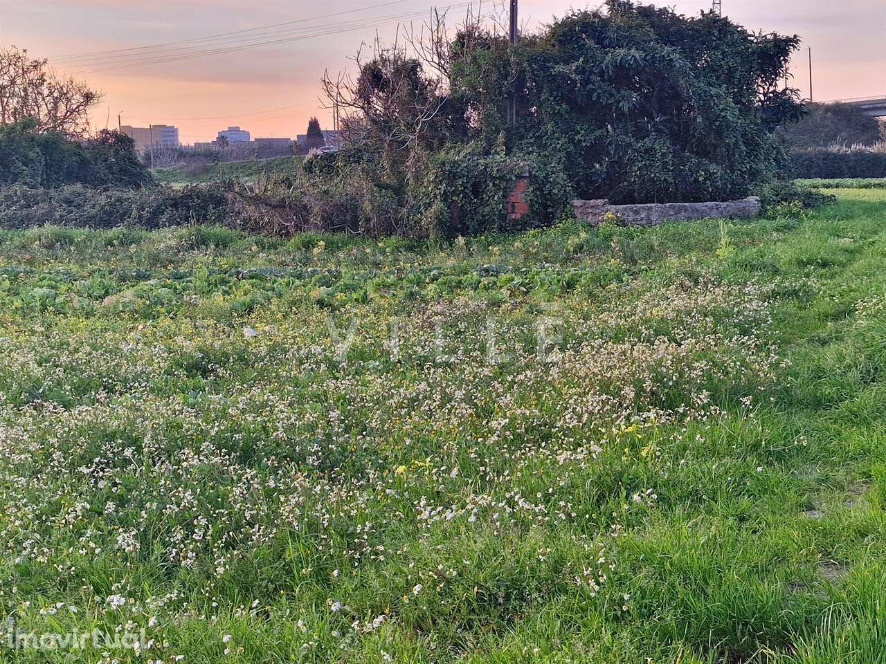 Terreno Urbano para Moradia Isolada á portas da Cidade - Grande imagem: 5/5
