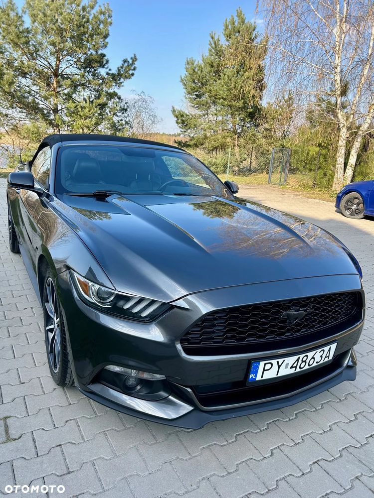 Ford Mustang Cabrio 2.3 Eco Boost - 3