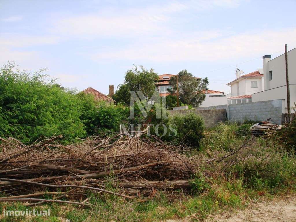 Excelente lote de terreno - Carreço - Grande imagem: 2/5