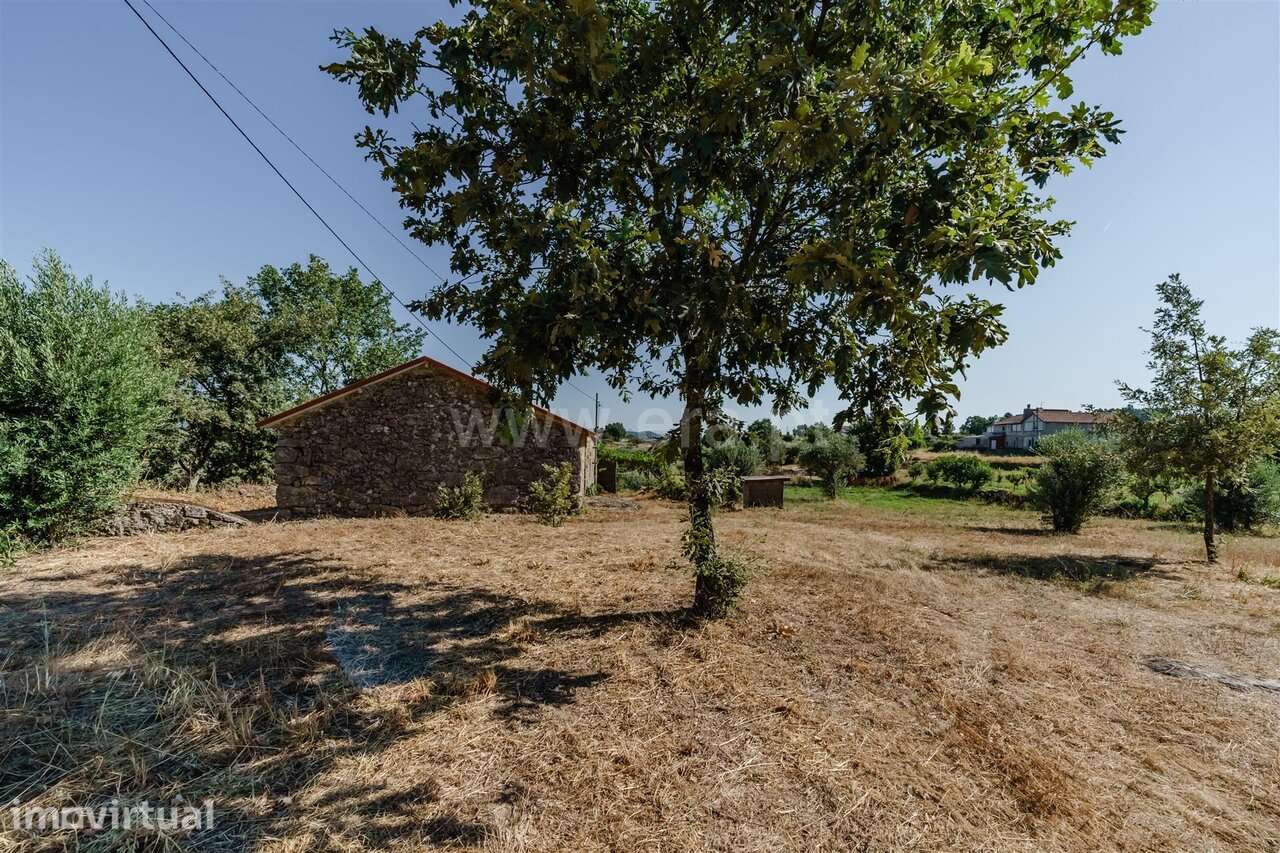 Terreno com ruina / Covilhã, Peraboa - Grande imagem: 5/19