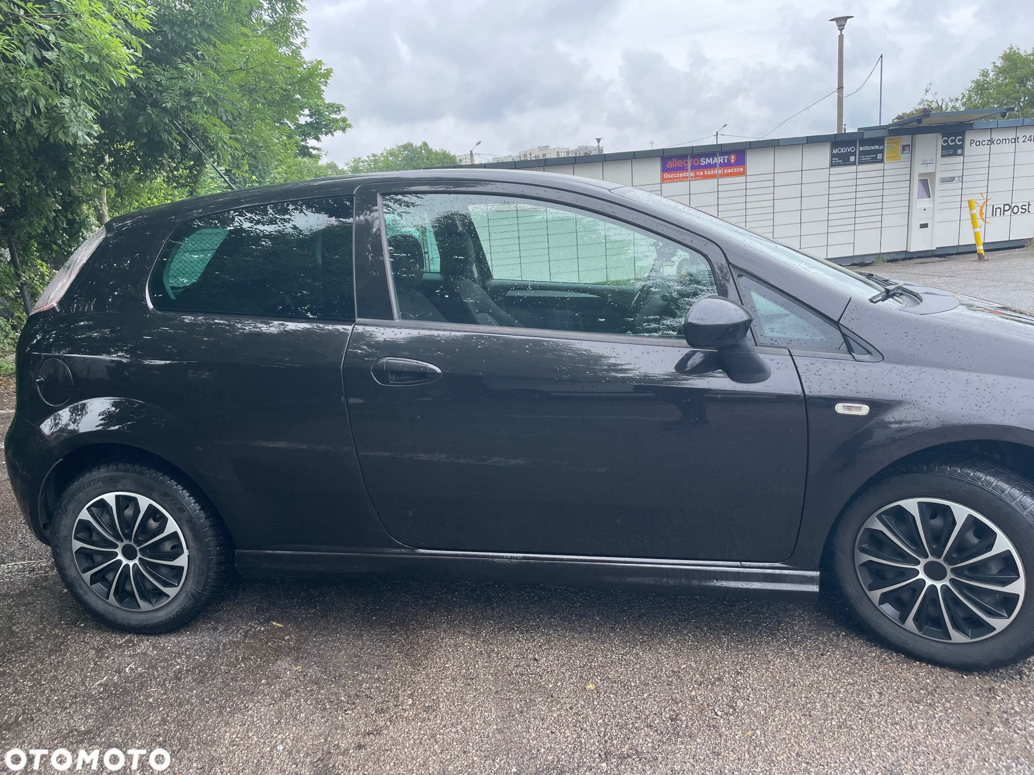 Fiat Punto - 3
