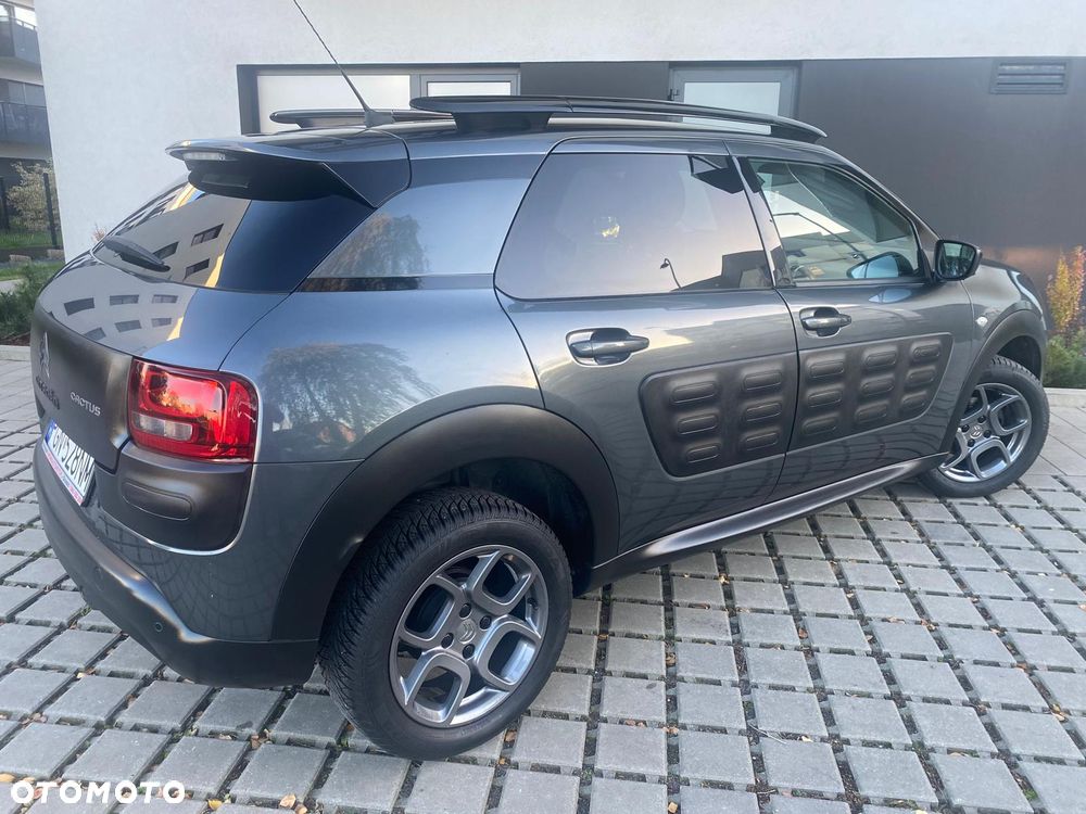 Citroën C4 Cactus 1.6 Blue HDi Shine ETG - 12