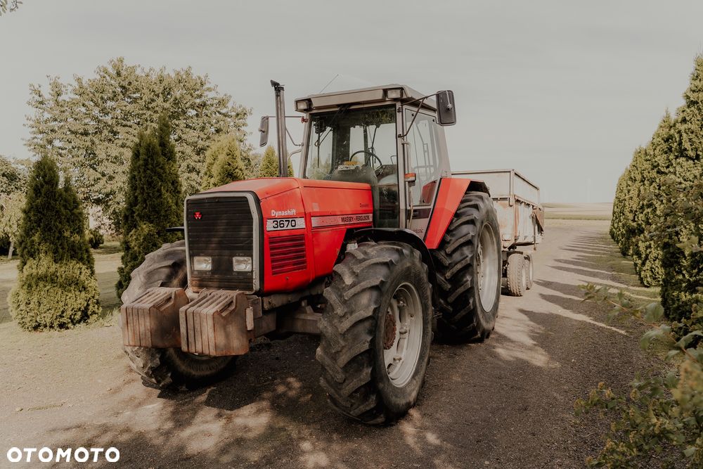 Massey Ferguson 3670 - 5